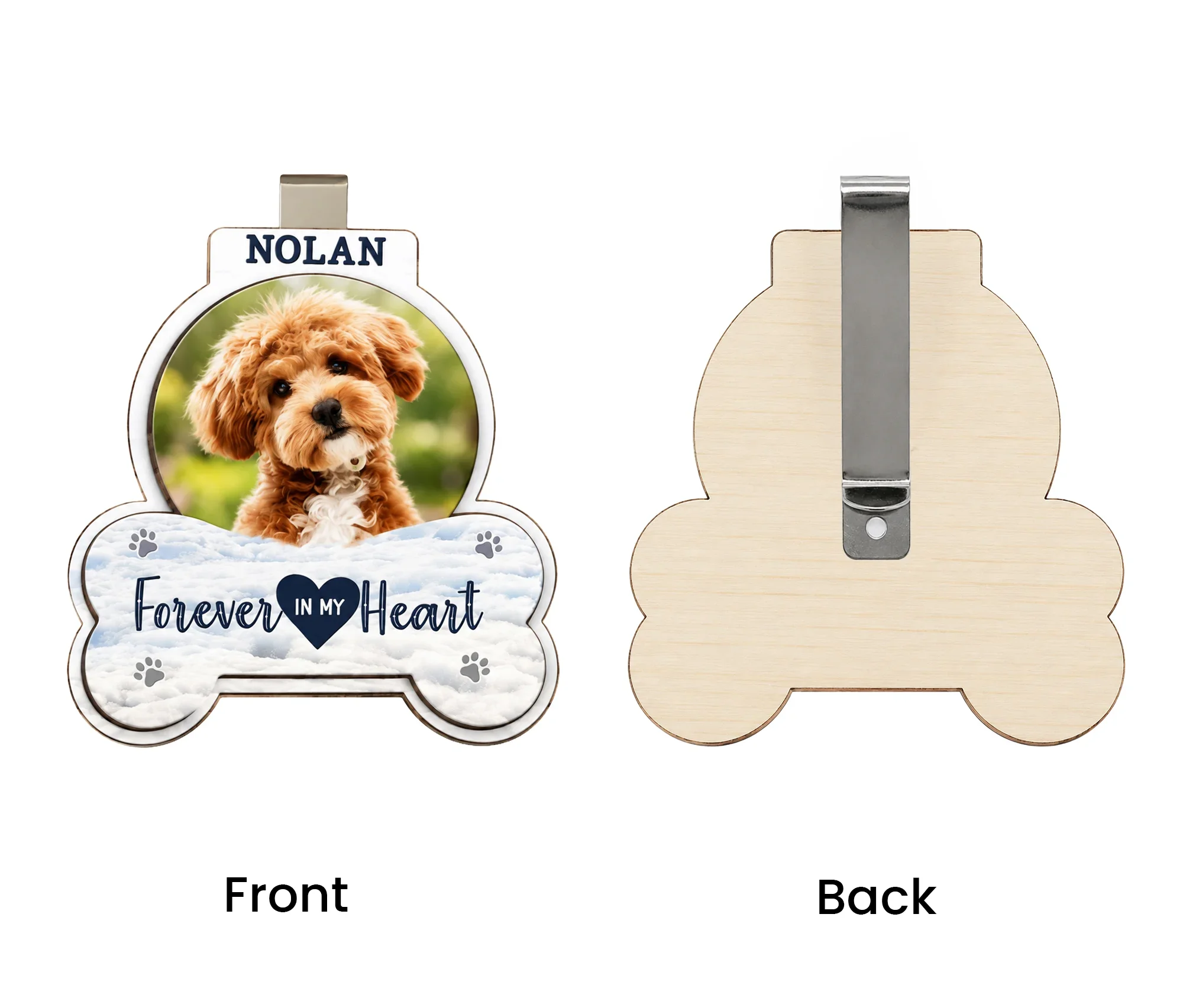 Custom-Shaped Visor Clip