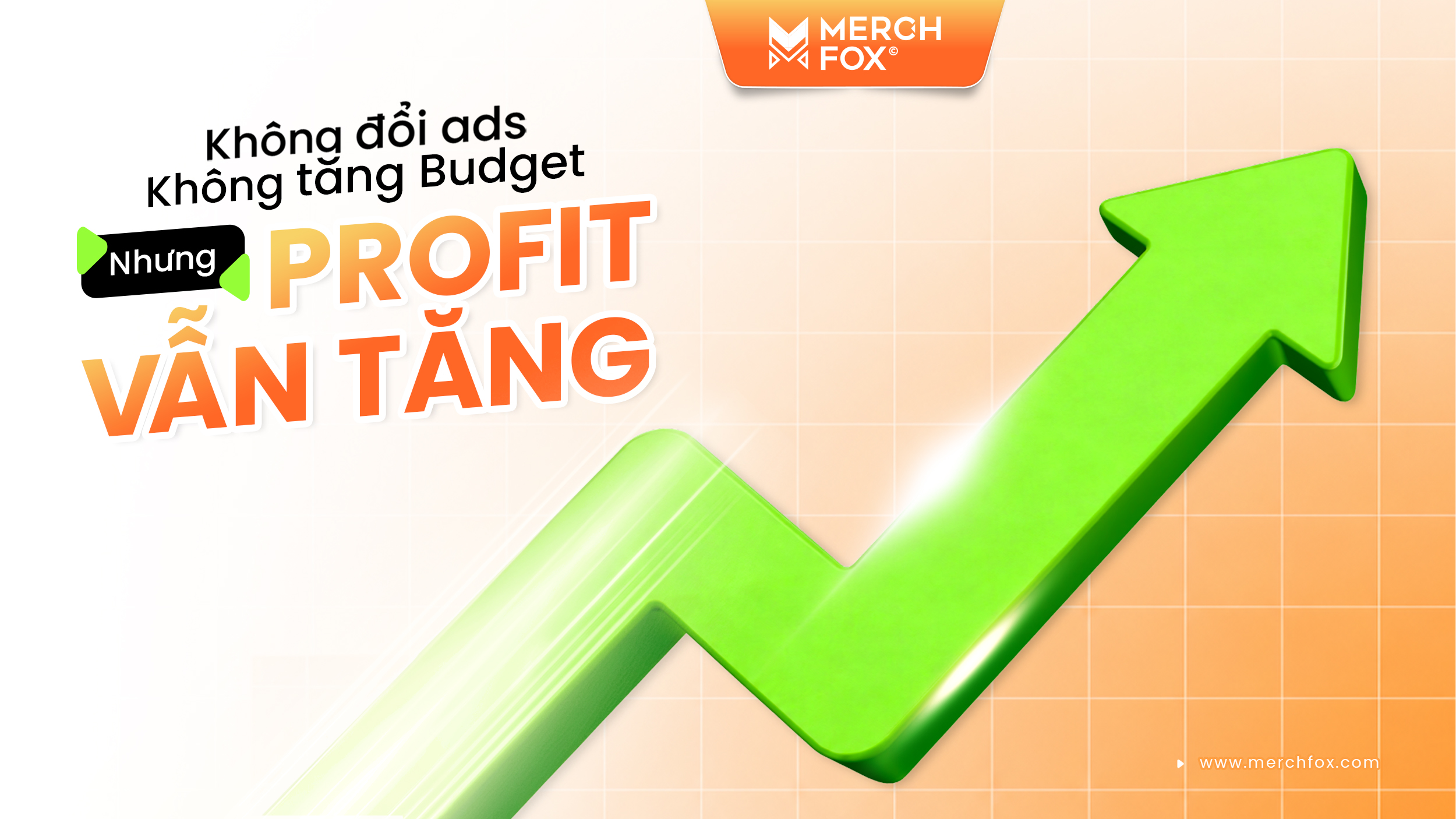 Why Your POD Profits Can Grow Without Increasing Ad Spend